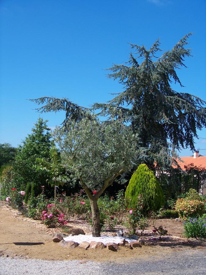 La Genoise Bed & Breakfast Tillieres Dış mekan fotoğraf